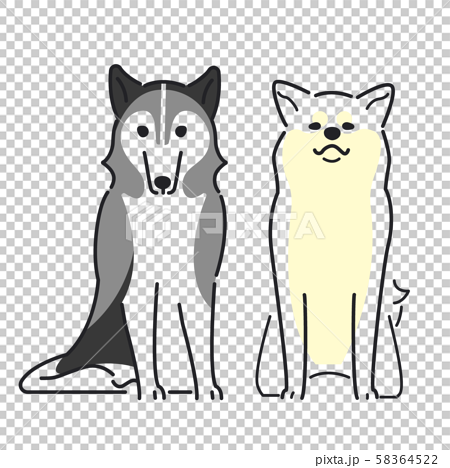 犬 ポーズ 表情 ２匹 秋田犬 シベリアンハスキーのイラスト素材