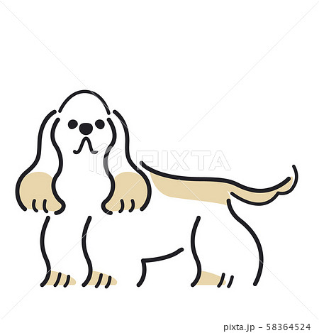 犬 ポーズ 表情 １匹 アメリカンコッカースパニエルのイラスト素材