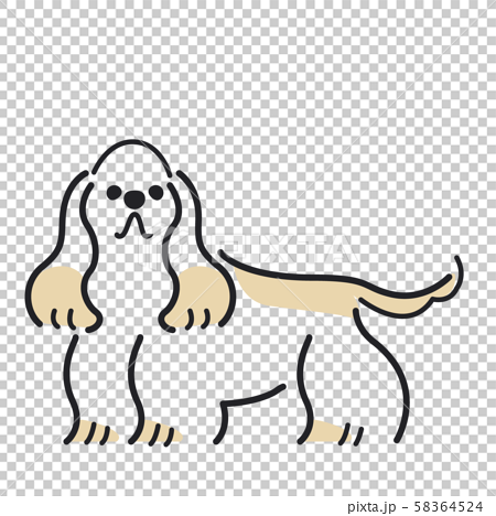 犬 ポーズ 表情 １匹 アメリカンコッカースパニエルのイラスト素材