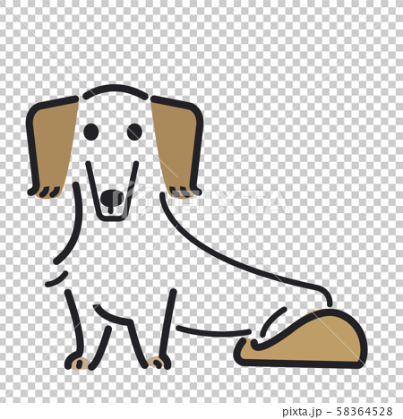 犬 ポーズ 表情 １匹 ミニチュアダックスフンドのイラスト素材