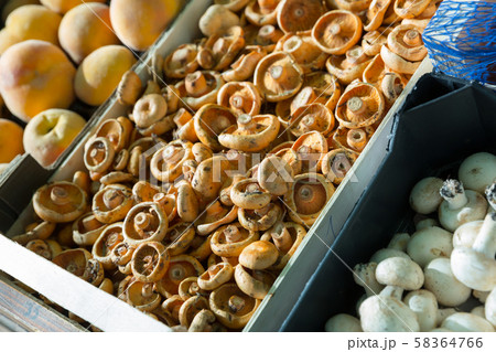 Close up view champignons 58364766