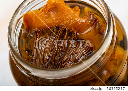 Pickled mushrooms lactarius deliciosus Pickled mushrooms lactarius deliciosus 58365257