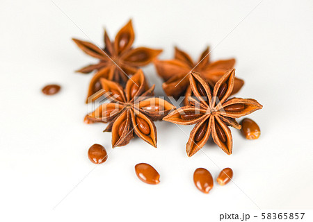 Star Anise isolated on white background herbs and Star Anise isolated on white background herbs and 58365857