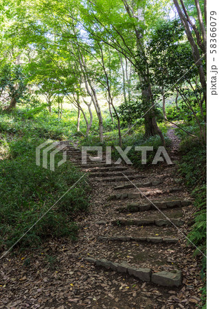 米子城　登山道　登頂 58366079
