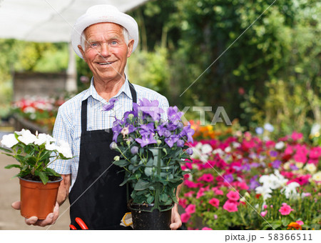 Elderly man in greenhouse Elderly man in greenhouse 58366511