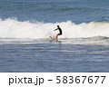 サーフィン 58367677