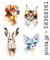 Watercolor Cat Dog Bunny Sphinx Hand Drawn Pet 58368361