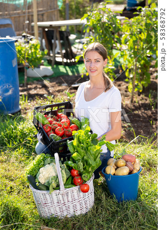 Girl farmer with basket and box of vegetables in the garden Girl farmer with basket and box of vegetables in the garden 58368792