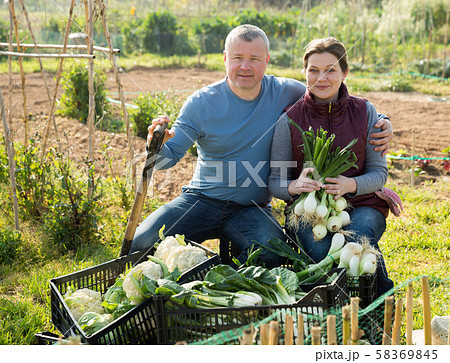 Portrait of male and female farmers Portrait of male and female farmers 58369845
