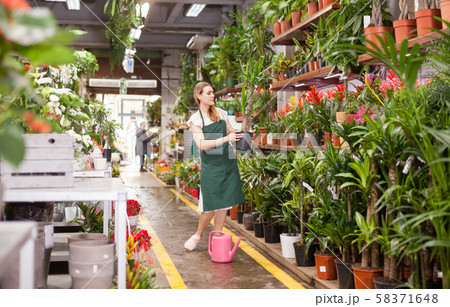 Portrait of woman florist with baskets of flowers in flower shop Portrait of woman florist with baskets of flowers in flower shop 58371648
