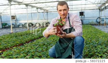 Farmer demonstrating flowerpot with young plant Farmer demonstrating flowerpot with young plant 58372225