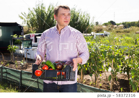 Portrait of man gardener holding basket with harvest of vegetables 58372316