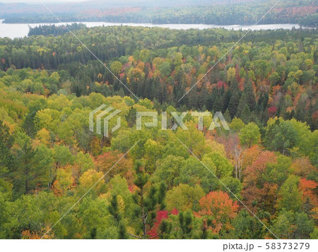 カナダ・オンタリオ州・アルゴンキン州立公園の紅葉_Centennial Ridges Trail04 カナダ・オンタリオ州・アルゴンキン州立公園の紅葉_Centennial Ridges Trail04 58373279