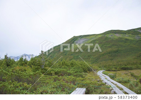 天狗原の景色(白馬連峰、長野県北安曇) 天狗原の景色(白馬連峰、長野県北安曇) 58373400