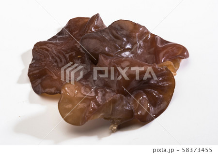 木耳（中華茸） 58373455