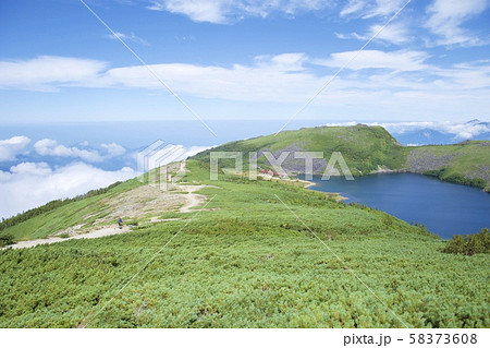 白馬大池から小蓮華山への登山道（白馬連峰、長野県北安曇） 58373608