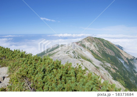 小蓮華山から白馬岳への登山道(白馬連峰、長野県北安曇) 小蓮華山から白馬岳への登山道(白馬連峰、長野県北安曇) 58373684