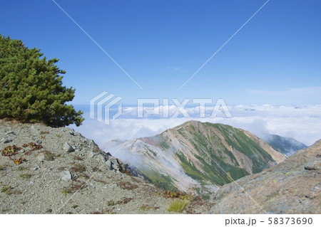 小蓮華山から白馬岳への登山道（白馬連峰、長野県北安曇） 58373690