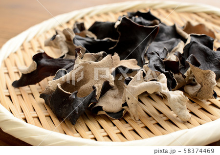 きくらげ 58374469