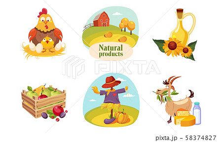 Farm Animals, Poultry, Eco Freshy Products and Vegetables Set, Farm and Agricultural Elements Vector 58374827