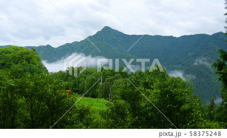大嘗祭のあらたえの麻畑と東宮山の雲 大嘗祭のあらたえの麻畑と東宮山の雲 58375248