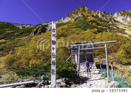 （長野県）千畳敷カールの秋　駒ヶ岳神社 58375485