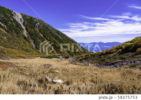 （長野県）千畳敷カールの遊歩道・剣ヶ池 58375753