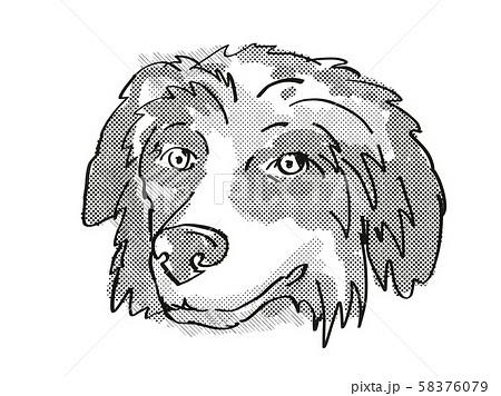 Bernese Mountain Dog Dog Breed Cartoon Retroのイラスト素材