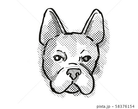 Boston Terrier Dog Breed Cartoon Retro Drawing 58376154