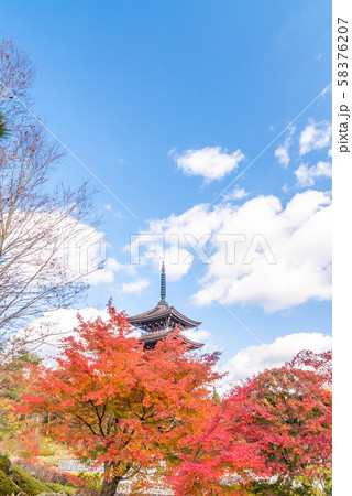 秋色の定義さん 秋色の定義さん 58376207