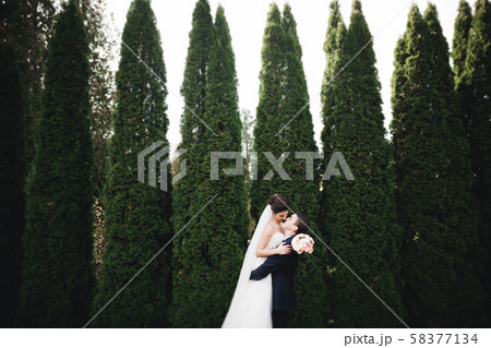 Beautiful romantic wedding couple of newlyweds hugging in park 58377134