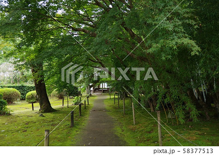 豫章館 豫章館 58377513