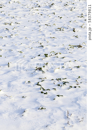snow cold drifts snow cold drifts 58379811