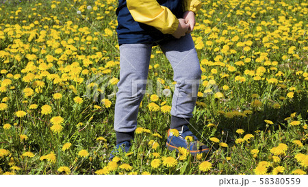 baby walks through dandelions 58380559