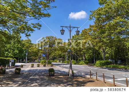 柏の葉公園通りの風景 柏の葉公園通りの風景 58380674