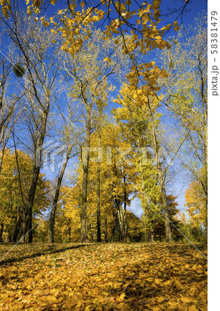 sunny weather in the autumn 58381479