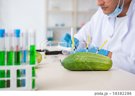 Male nutrition expert testing vegetables in lab Male nutrition expert testing vegetables in lab 58382286