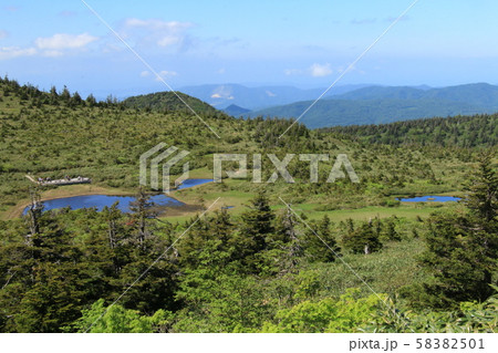 八甲田山の散策路から見える湿原~冬は樹氷原に様変わり 八甲田山の散策路から見える湿原~冬は樹氷原に様変わり 58382501