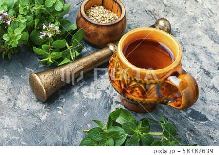 Fresh and dried oregano herb 58382639