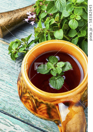 Fresh and dried oregano herb 58382645