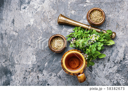 Fresh and dried oregano herb 58382673