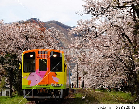 桜並木と樽見鉄道の列車風景 2 58382948