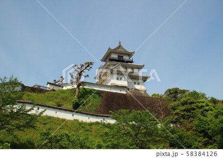 掛川城・天守閣/静岡県掛川市掛川1138 掛川城・天守閣/静岡県掛川市掛川1138 58384126
