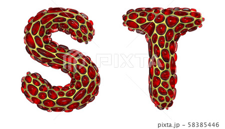 Realistic 3D letters set S, T made of gold shining metal letters. Realistic 3D letters set S, T made of gold shining metal letters. 58385446