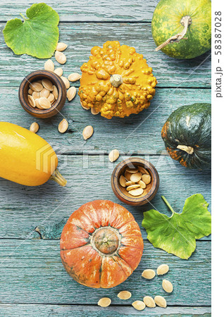 Assortment of autumn pumpkins Assortment of autumn pumpkins 58387028