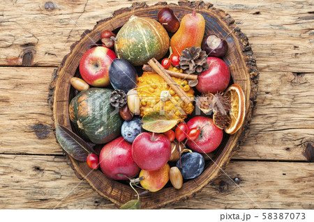 Beautiful autumn composition 58387073