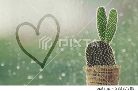 cactus on a rainy day with handwriting heart shape on water drop at window background. drops of rain on window glass background. cactus on a rainy day with handwriting heart shape on water drop at window background. drops of rain on window glass background. 58387589