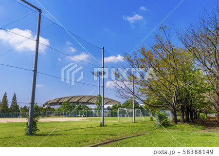 柏の葉公園の風景 柏の葉公園の風景 58388149