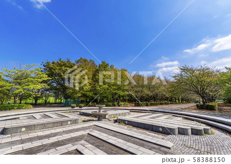 柏の葉公園の風景 柏の葉公園の風景 58388150