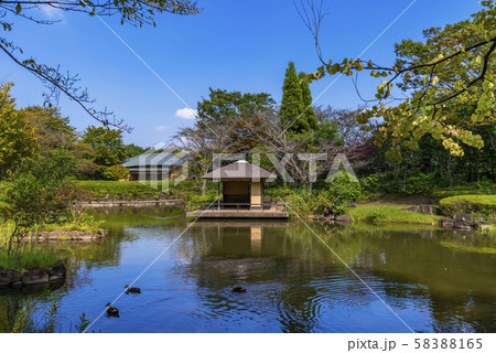 柏の葉公園の日本庭園 柏の葉公園の日本庭園 58388165